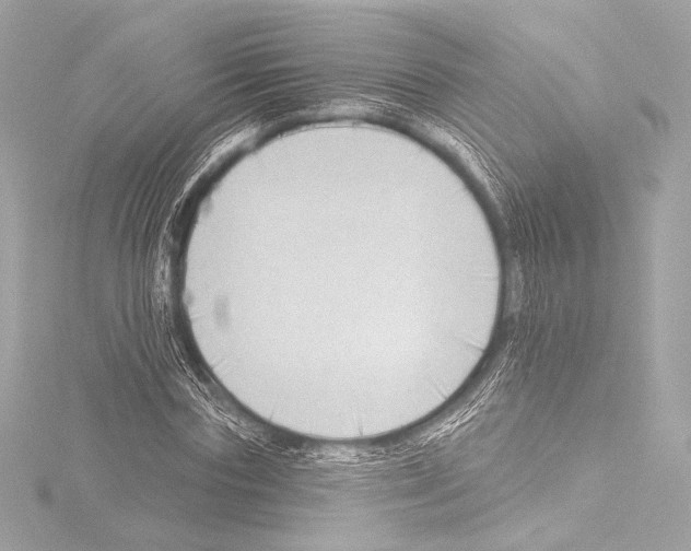 X0000115530827200912181525