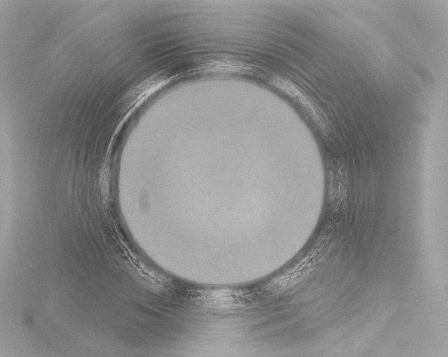 X0000115530828200912181525