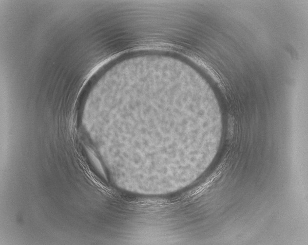 X0000115530830200912181525