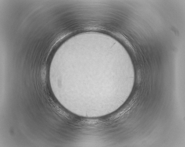 X0000115530831200912181525