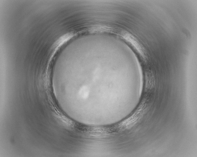 X0000115530832200912181525