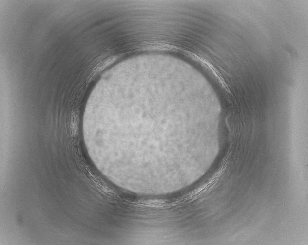 X0000115530833200912181525