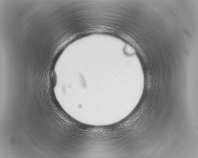 X0000115530834200912181525