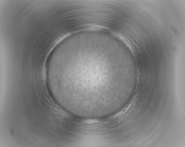 X0000115530835200912181525