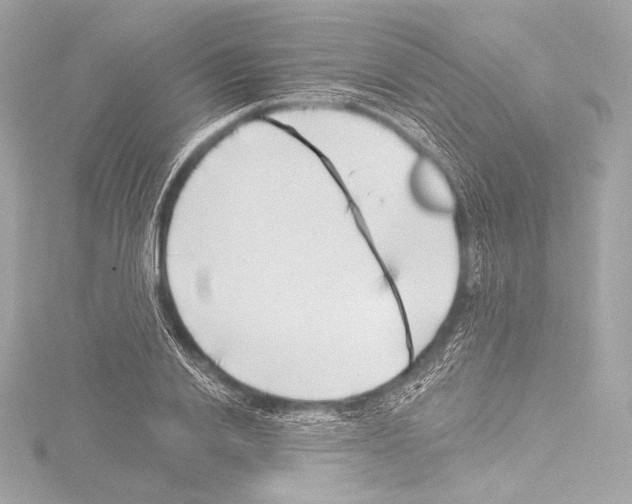 X0000115530838200912181525