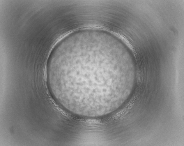 X0000115530839200912181525