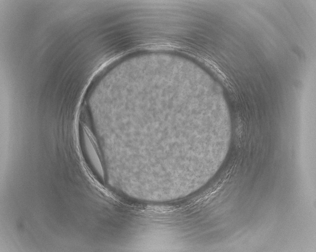 X0000115530840200912181525