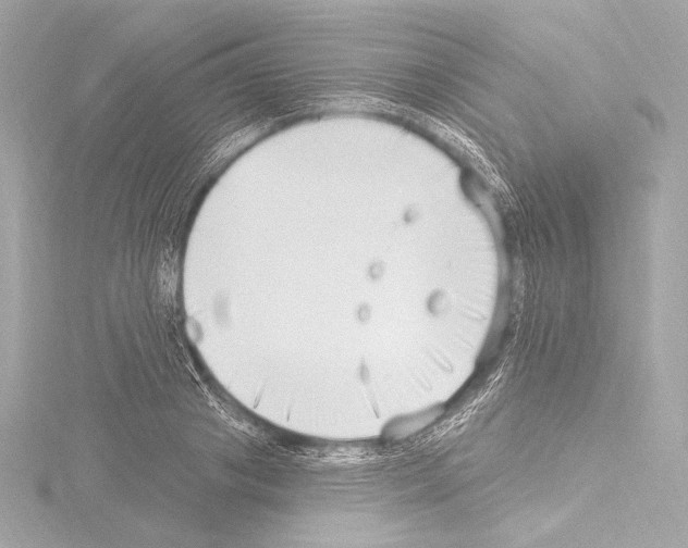 X0000115530841200912181525