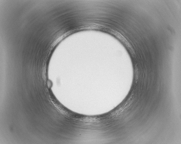 X0000115530842200912181525