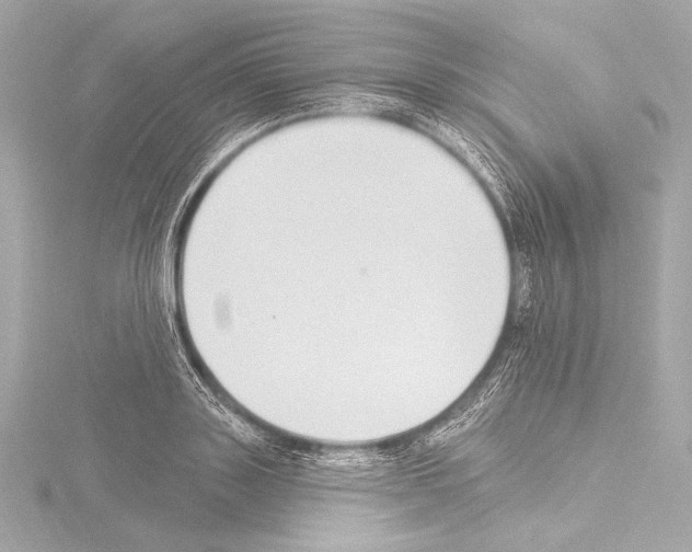 X0000115530843200912181525