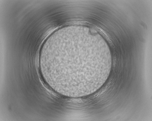 X0000115530844200912181525