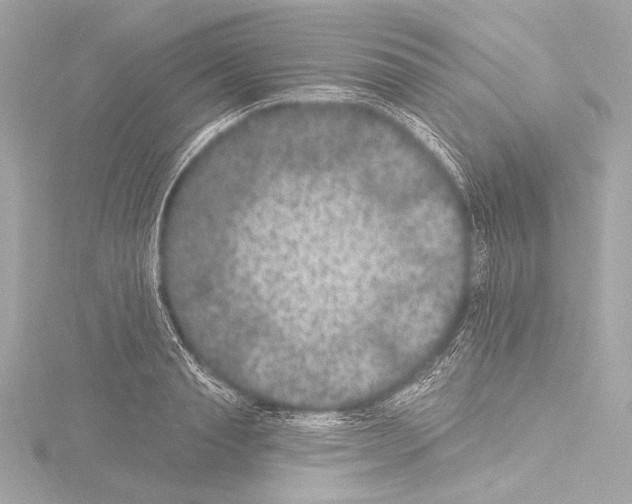 X0000115530845200912181525