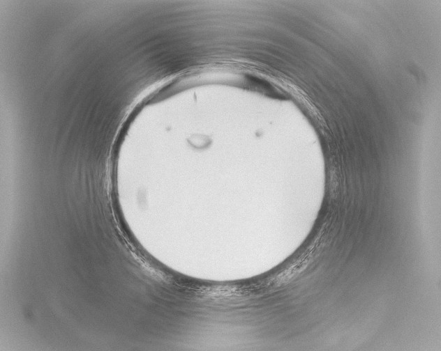 X0000115530846200912181525