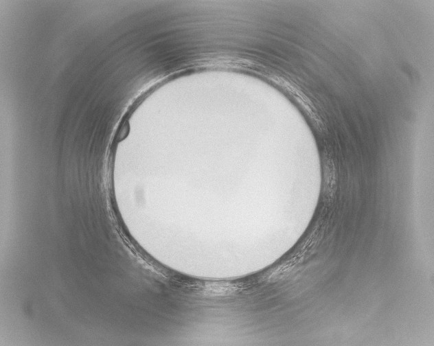 X0000115530848200912181525