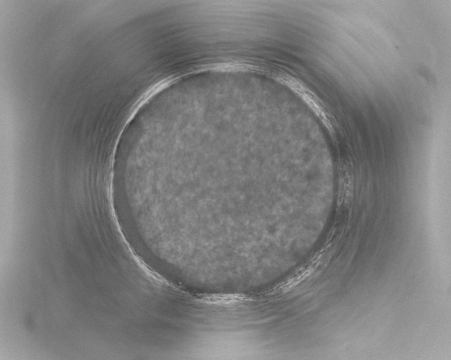 X0000115530853200912181525