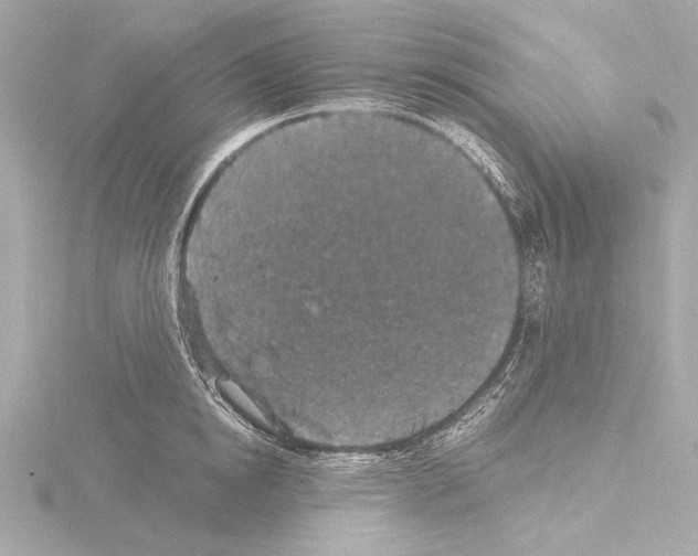 X0000115530854200912181525