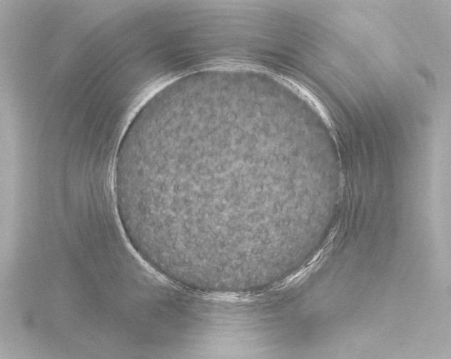 X0000115530855200912181525