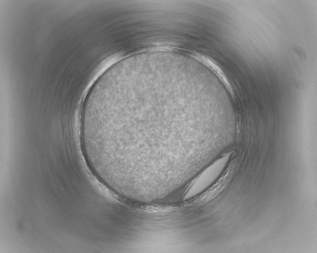 X0000115530859200912181525