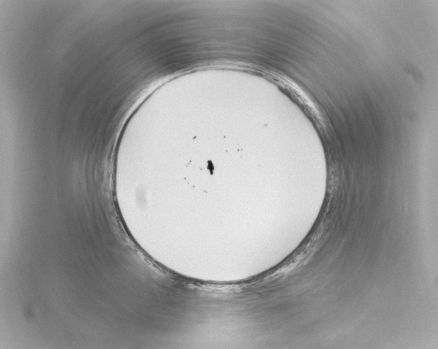 X0000115530860200912181525