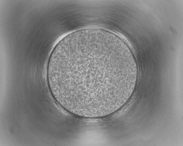 X0000115530862200912181525