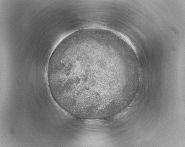 X0000115530863200912181525