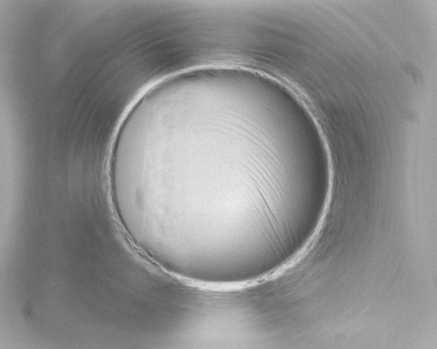 X0000115530864200912181525