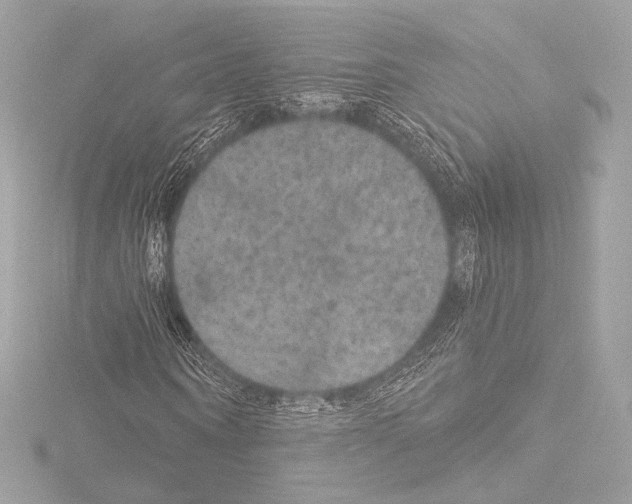 X0000115530866200912181525