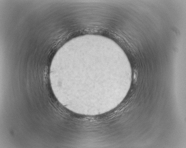 X0000115530867200912181525