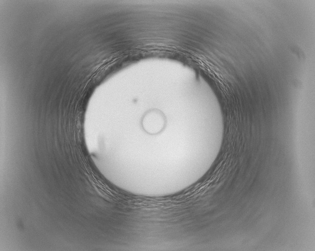 X0000115530868200912181525