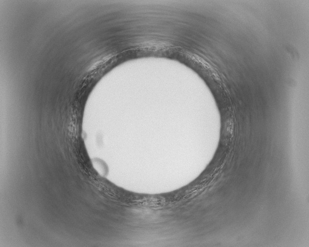 X0000115530869200912181525