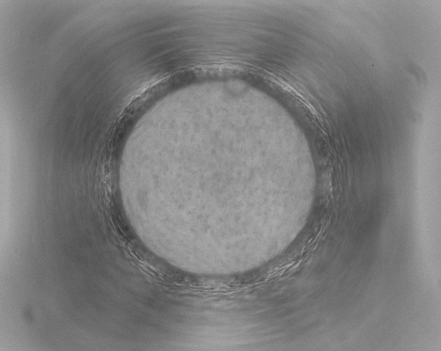 X0000115530870200912181525