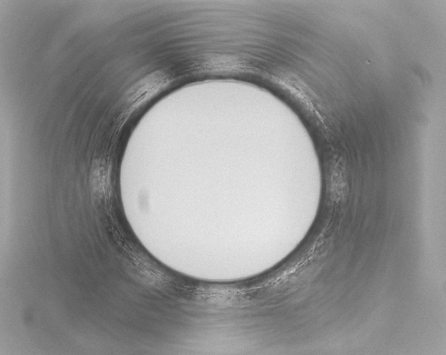 X0000115530873200912181525