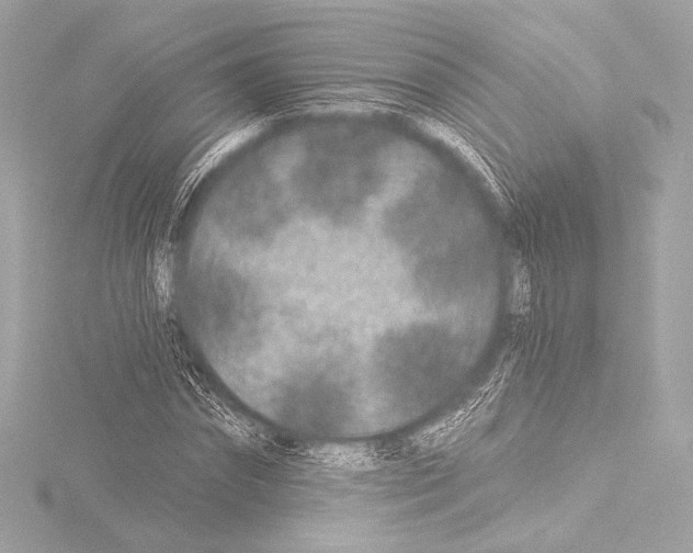 X0000115530874200912181525