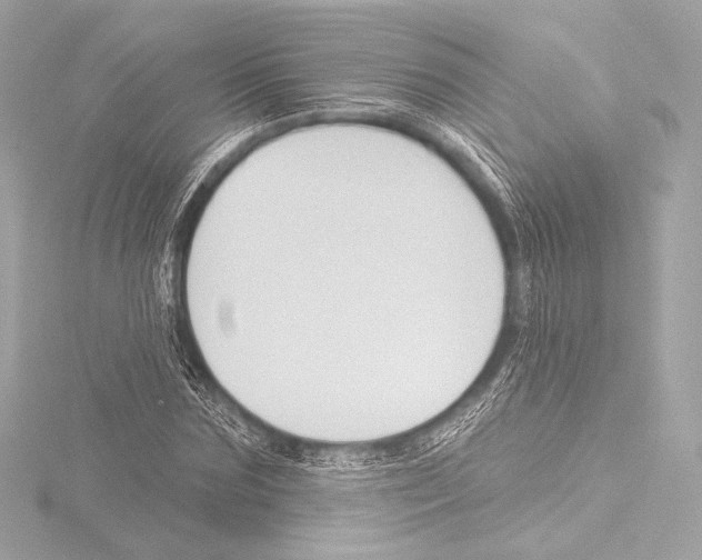 X0000115530875200912181525