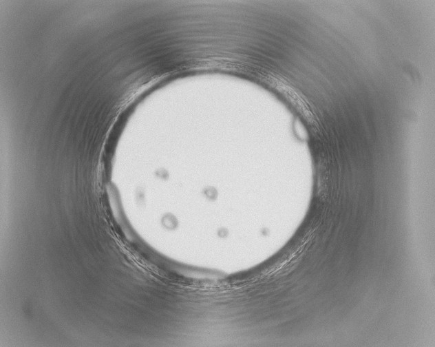 X0000115530876200912181525