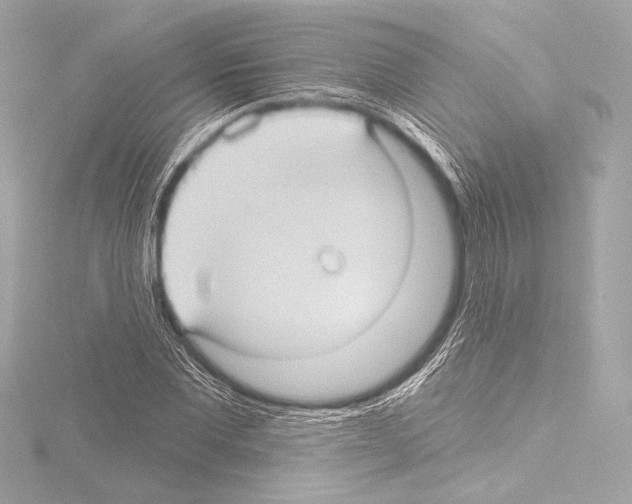 X0000115530877200912181525