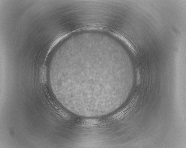 X0000115530878200912181525