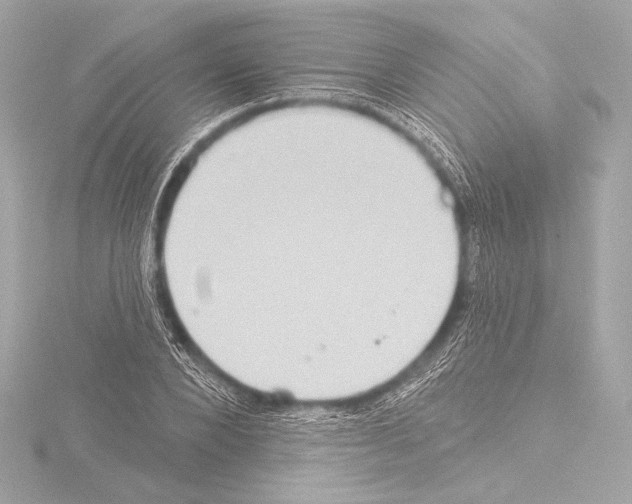 X0000115530880200912181525