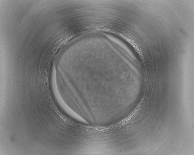 X0000115530881200912181525