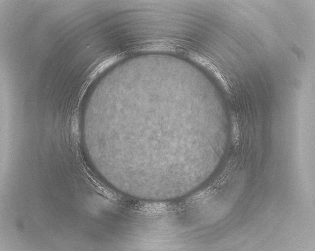 X0000115530882200912181525