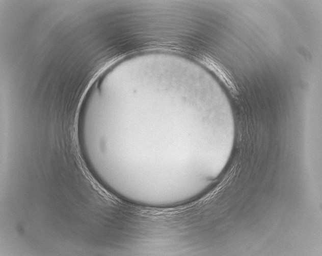 X0000115530884200912181525