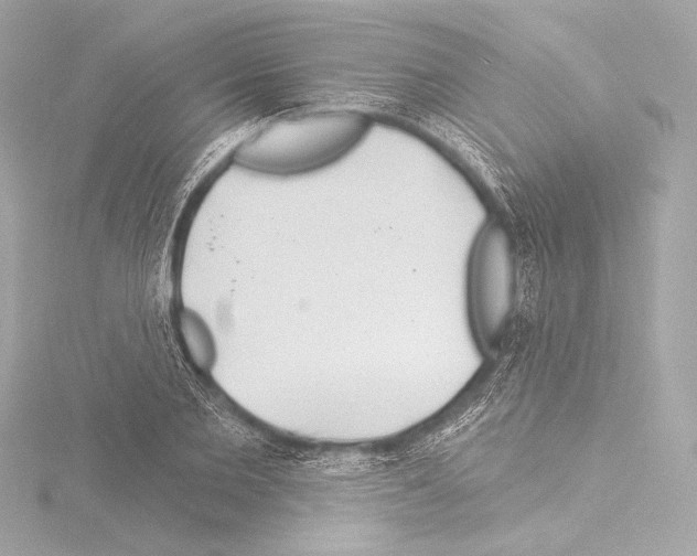 X0000115530885200912181525