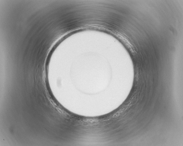 X0000115530888200912181525