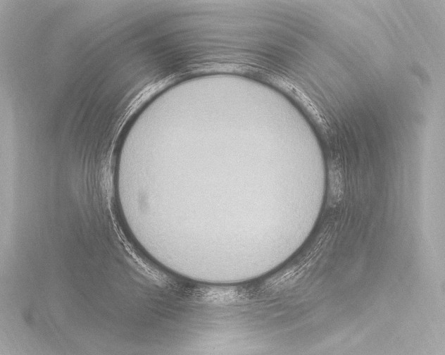 X0000115530890200912181524