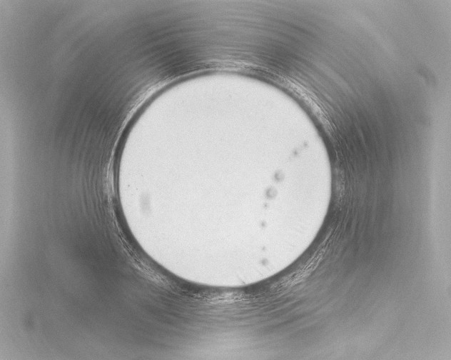 X0000115530891200912181524