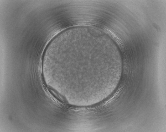 X0000115530892200912181524