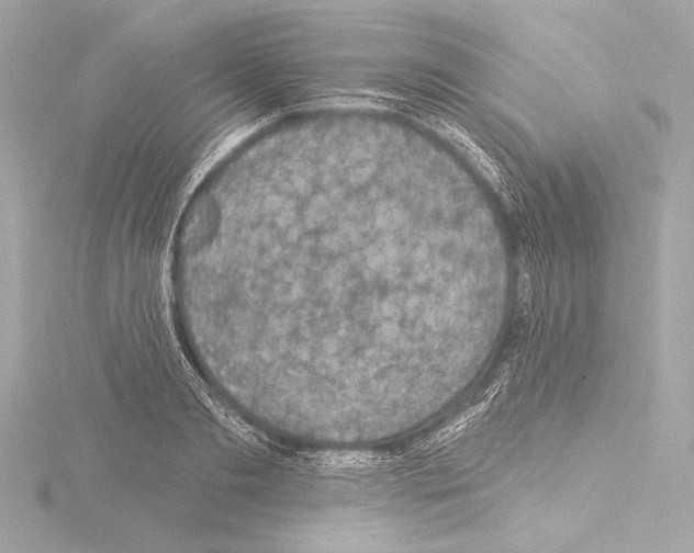 X0000115530893200912181524