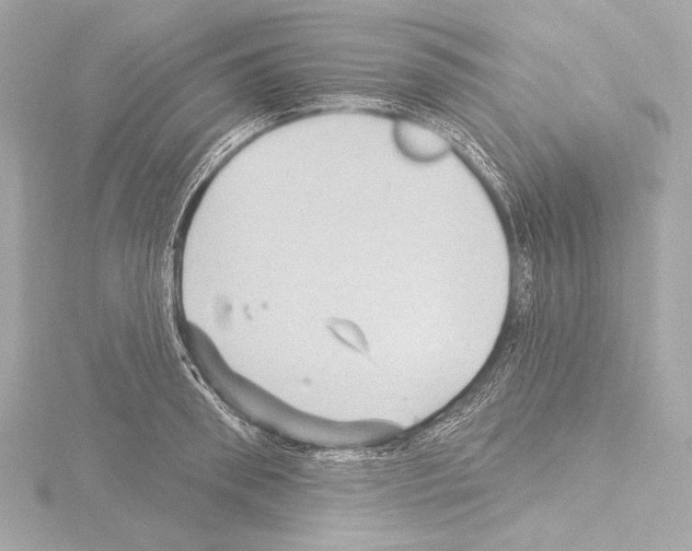 X0000115530898200912181524