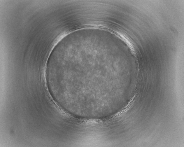 X0000115530899200912181524