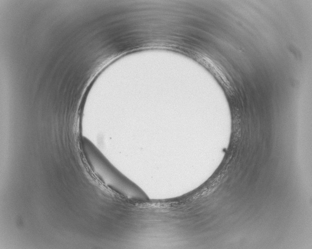 X0000115530900200912181524